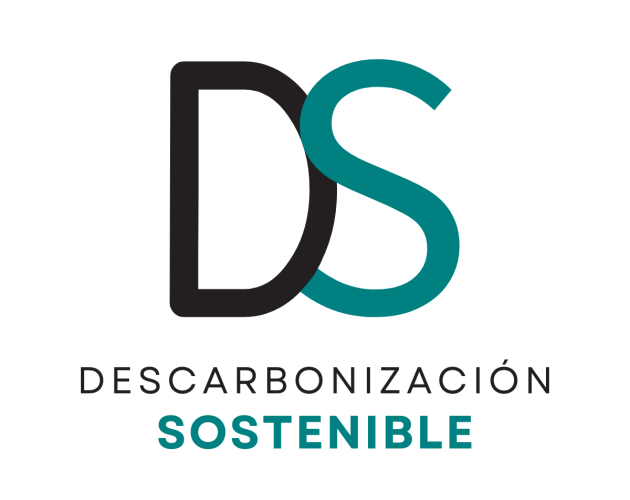 LOGO DS